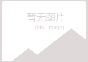 湛江坡头晓夏咨询有限公司